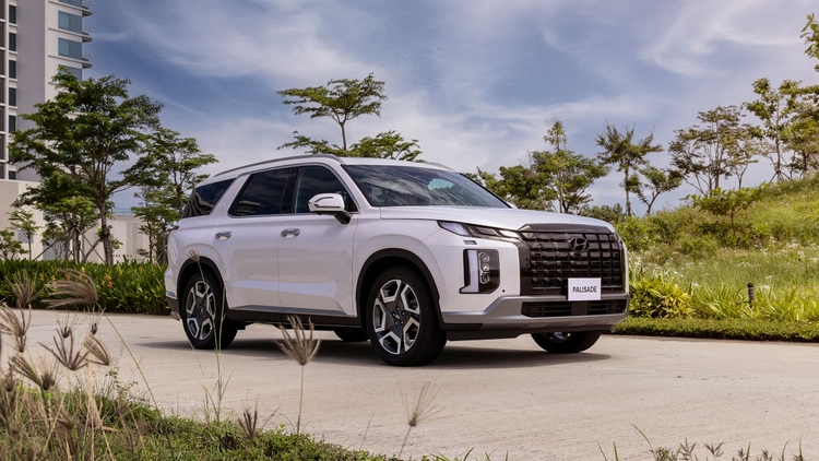 Hyundai Palisade - 12.jpg