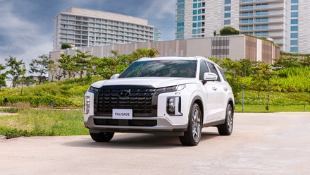 Hyundai Palisade - 14.jpg