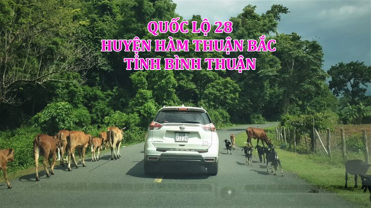 TVH's pic - Quoc lo 28, huyen Ham Thuan Bac, tinh Binh Thuan cover - 030923.jpg
