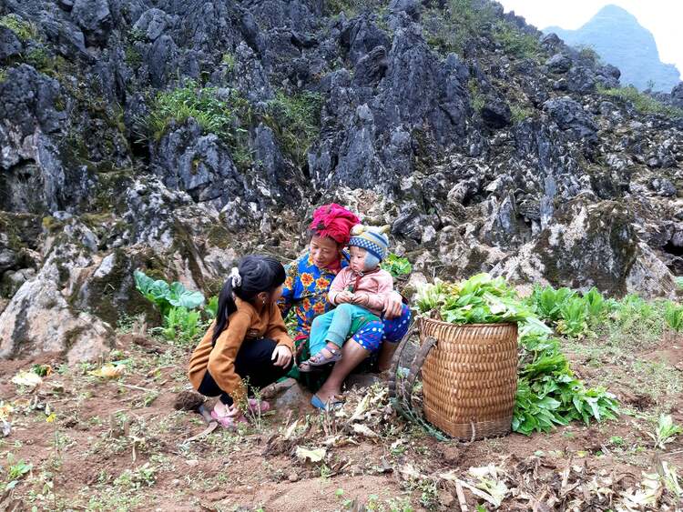 Hà Giang - Miền thương nhớ! Mã Pì Lèn, sông Nho Quế, Đồng Văn; Đi mùa Xuân vẫn là mùa đẹp nhất