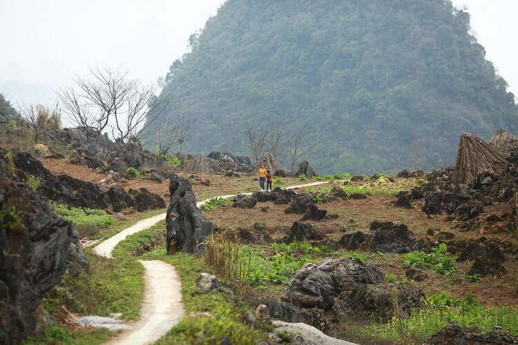 Hà Giang - Miền thương nhớ! Mã Pì Lèn, sông Nho Quế, Đồng Văn; Đi mùa Xuân vẫn là mùa đẹp nhất