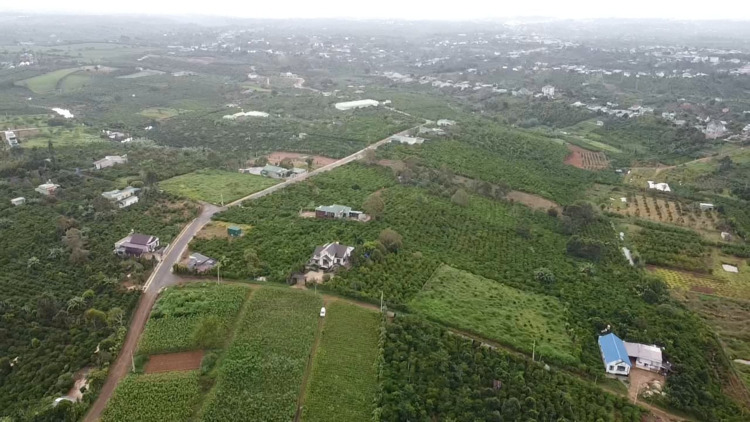 Hậu "cơn lốc" sốt đất tại Bảo Lộc, có nên đầu tư hay không?