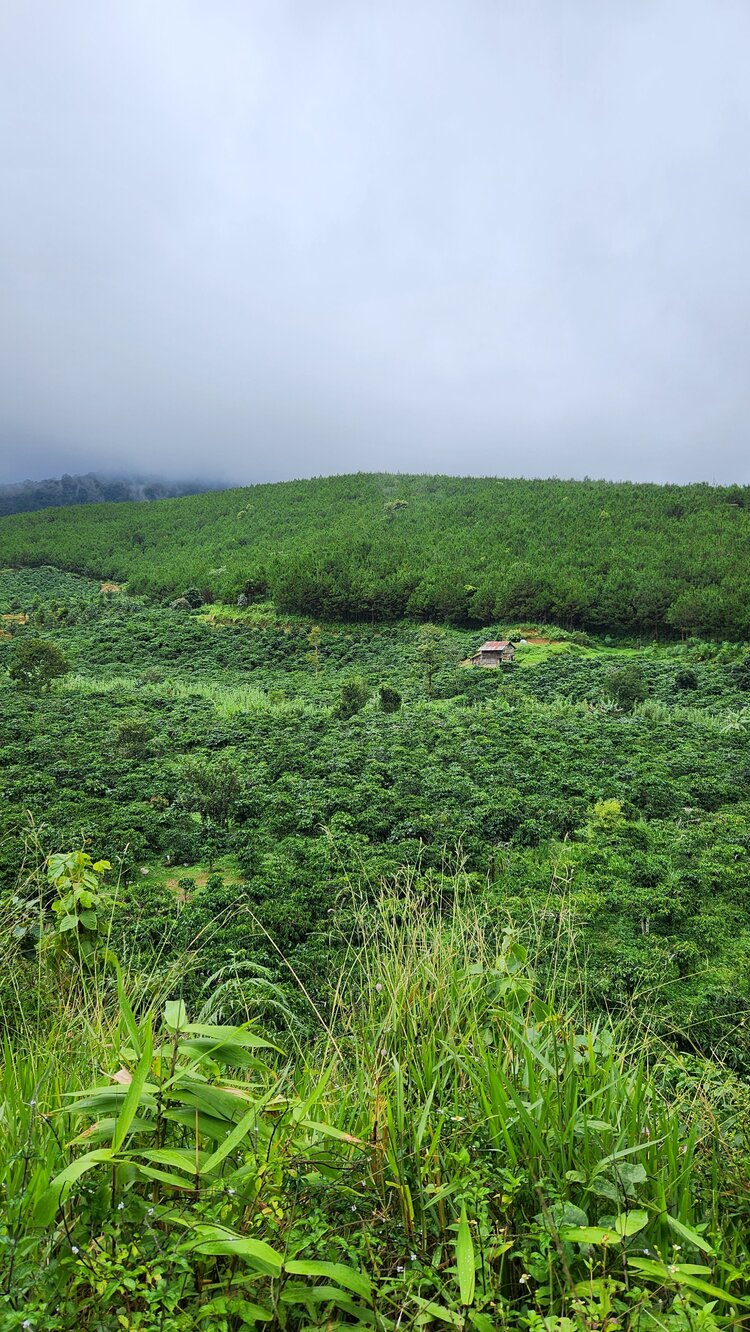 Phượt đèo Đại Ninh, Gia Bắc. 2 ngày 600km với Future thần thánh