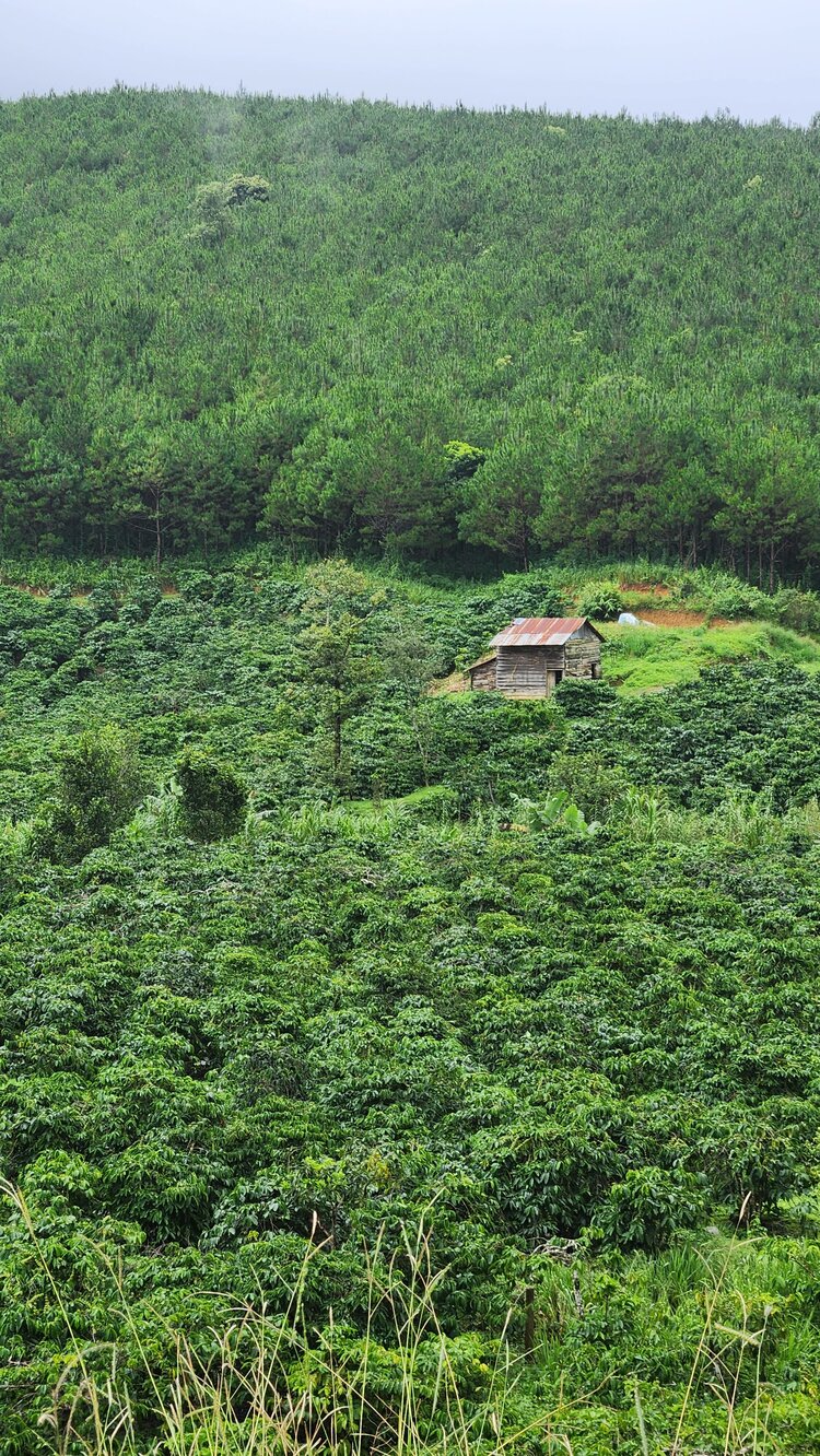 Phượt đèo Đại Ninh, Gia Bắc. 2 ngày 600km với Future thần thánh