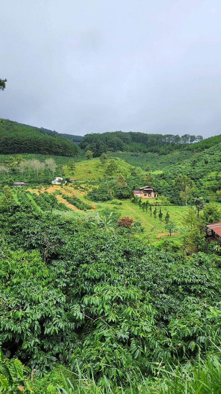 Phượt đèo Đại Ninh, Gia Bắc. 2 ngày 600km với Future thần thánh