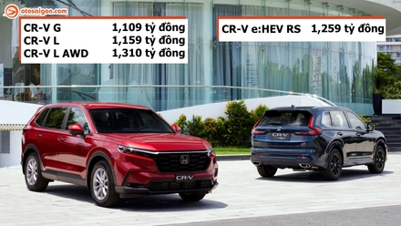 Gia CRV.jpg