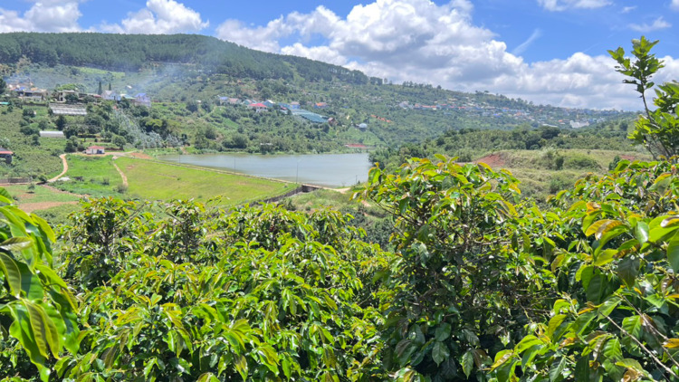 BĐS Đà Lạt- Mua đâu cách Đà Lạt, sân bay 20km? BĐS Đà Lạt- Mua đâu cách Đà Lạt, sân bay 20km?