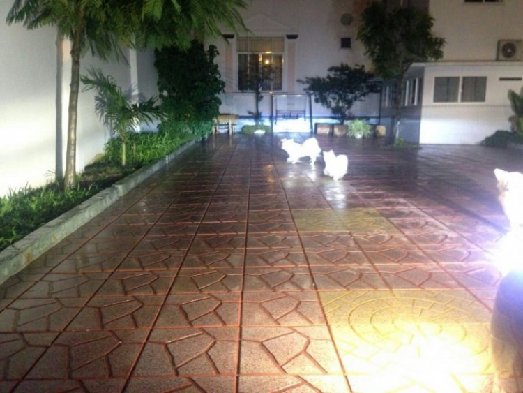 Ký sự nâng cấp ánh sáng Ký sự nâng cấp ánh sáng