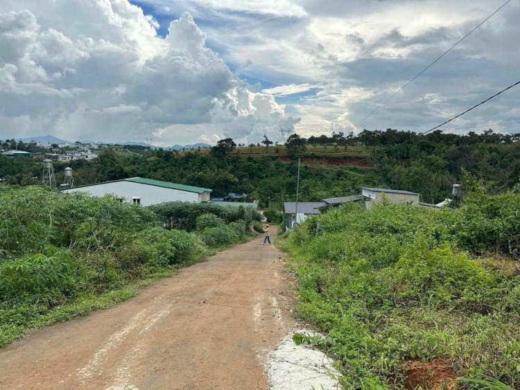Hậu "cơn lốc" sốt đất tại Bảo Lộc, có nên đầu tư hay không? Hậu "cơn lốc" sốt đất tại Bảo Lộc, có nên đầu tư hay không?