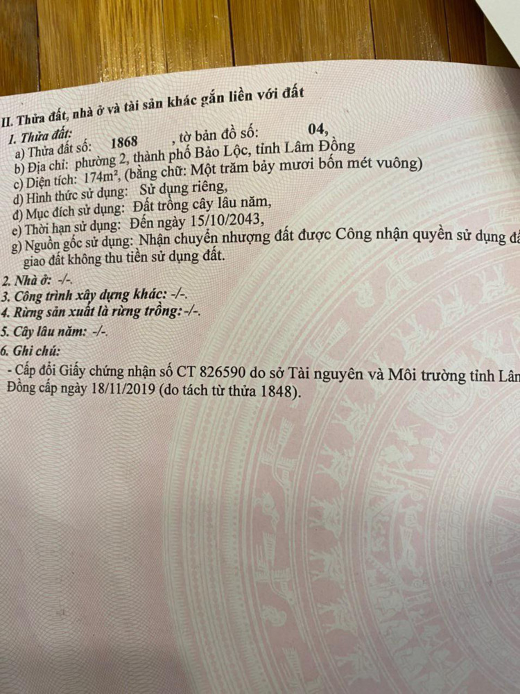 Hậu "cơn lốc" sốt đất tại Bảo Lộc, có nên đầu tư hay không?