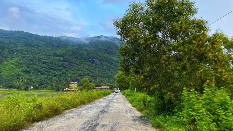 Một thoáng An Giang - Rừng Tràm Trà Sư - Ô Tà Sóc (Hồi ký)