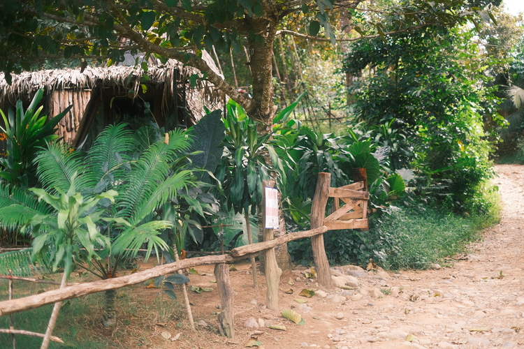 Suối La Ngâu - Tánh Linh - Bình Thuận - 2 ngày 1 đêm - Camping sẽ thế nào Suối La Ngâu - Tánh Linh - Bình Thuận - 2 ngày 1 đêm - Camping sẽ thế nào