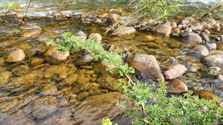 Suối La Ngâu - Tánh Linh - Bình Thuận - 2 ngày 1 đêm - Camping sẽ thế nào Suối La Ngâu - Tánh Linh - Bình Thuận - 2 ngày 1 đêm - Camping sẽ thế nào