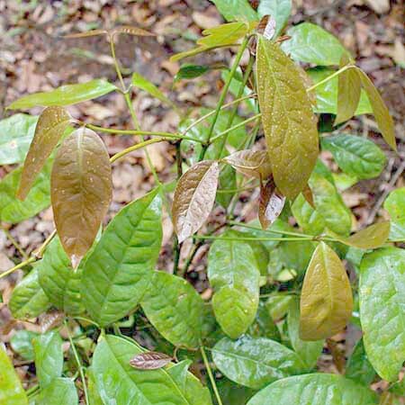 Suối La Ngâu - Tánh Linh - Bình Thuận - 2 ngày 1 đêm - Camping sẽ thế nào Suối La Ngâu - Tánh Linh - Bình Thuận - 2 ngày 1 đêm - Camping sẽ thế nào