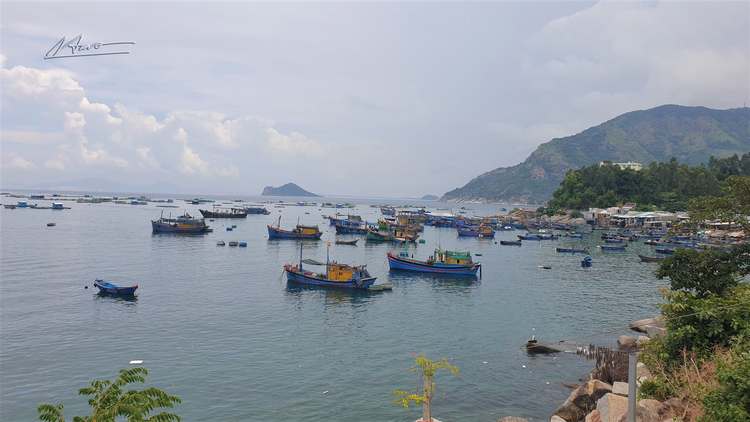 TVH's pic - Duong ven bien Phu Yen_Vung Ro - 230723 (4).jpg TVH's pic - Duong ven bien Phu Yen_Vung Ro - 230723 (4).jpg
