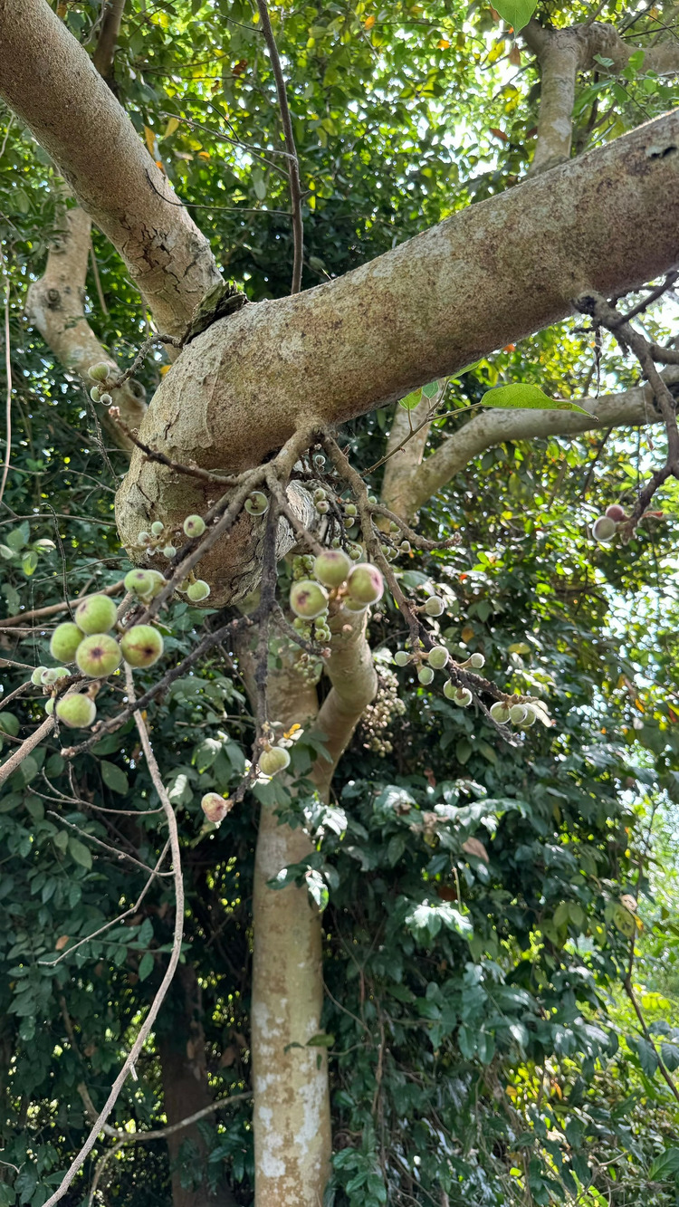 Đất giáp sông, rạch, hồ