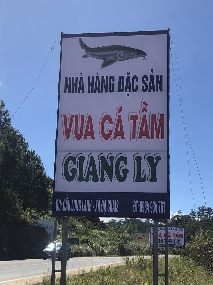 Xin các địa điểm vui chơi ở Nha Trang dịp Tết