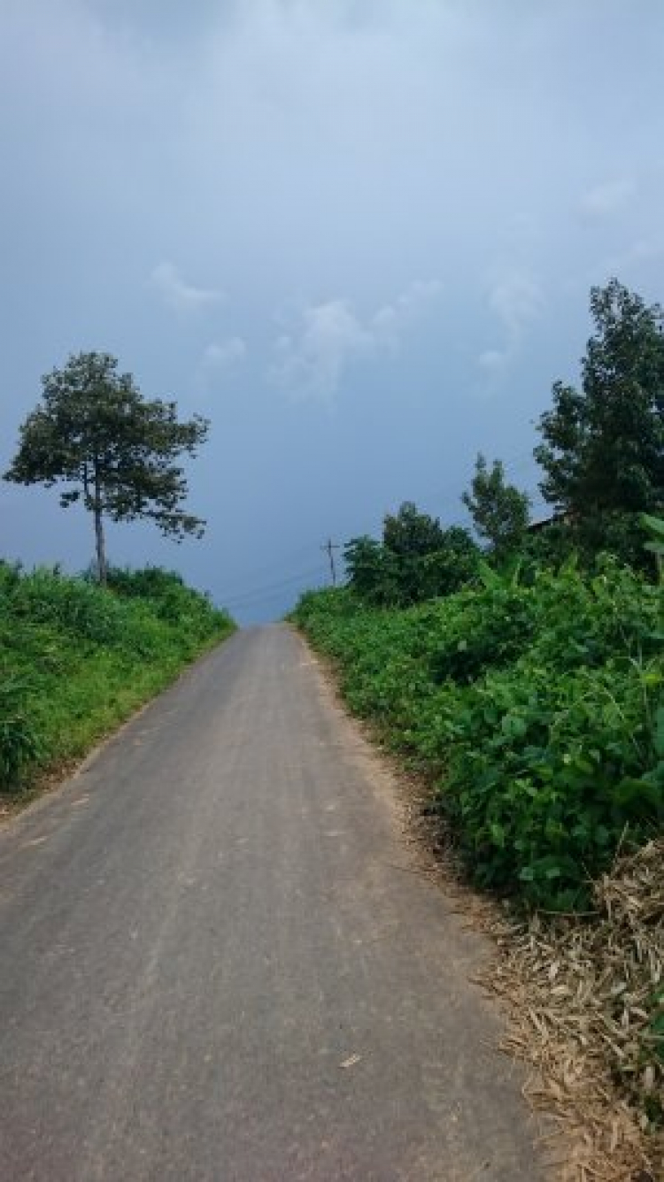 Đường 14. Đường 14.