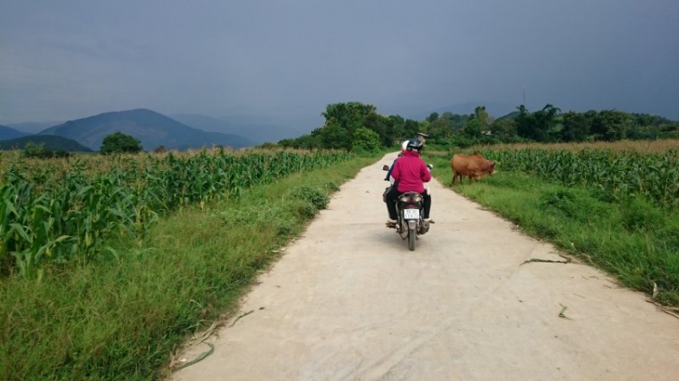 Đường 14. Đường 14.