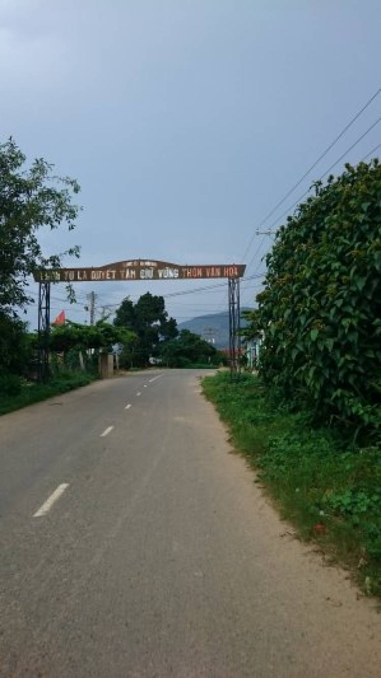 Đường 14.