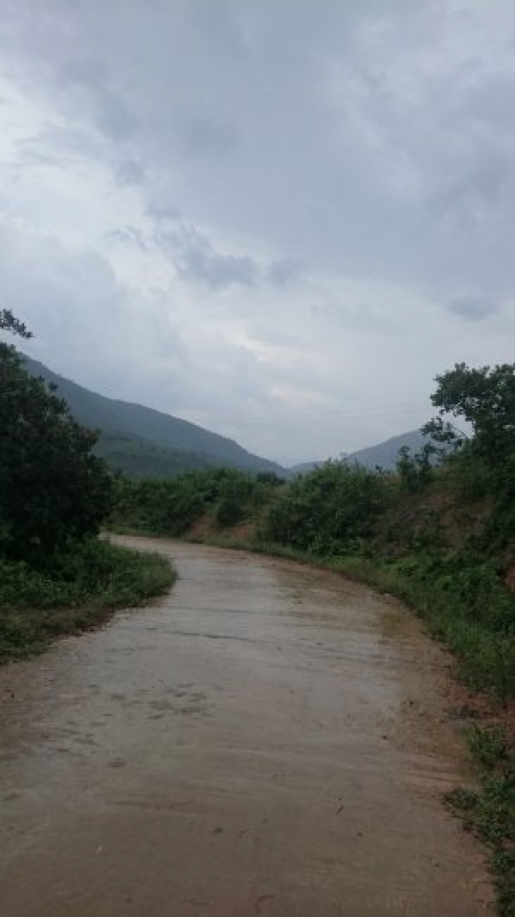 Đường 14. Đường 14.