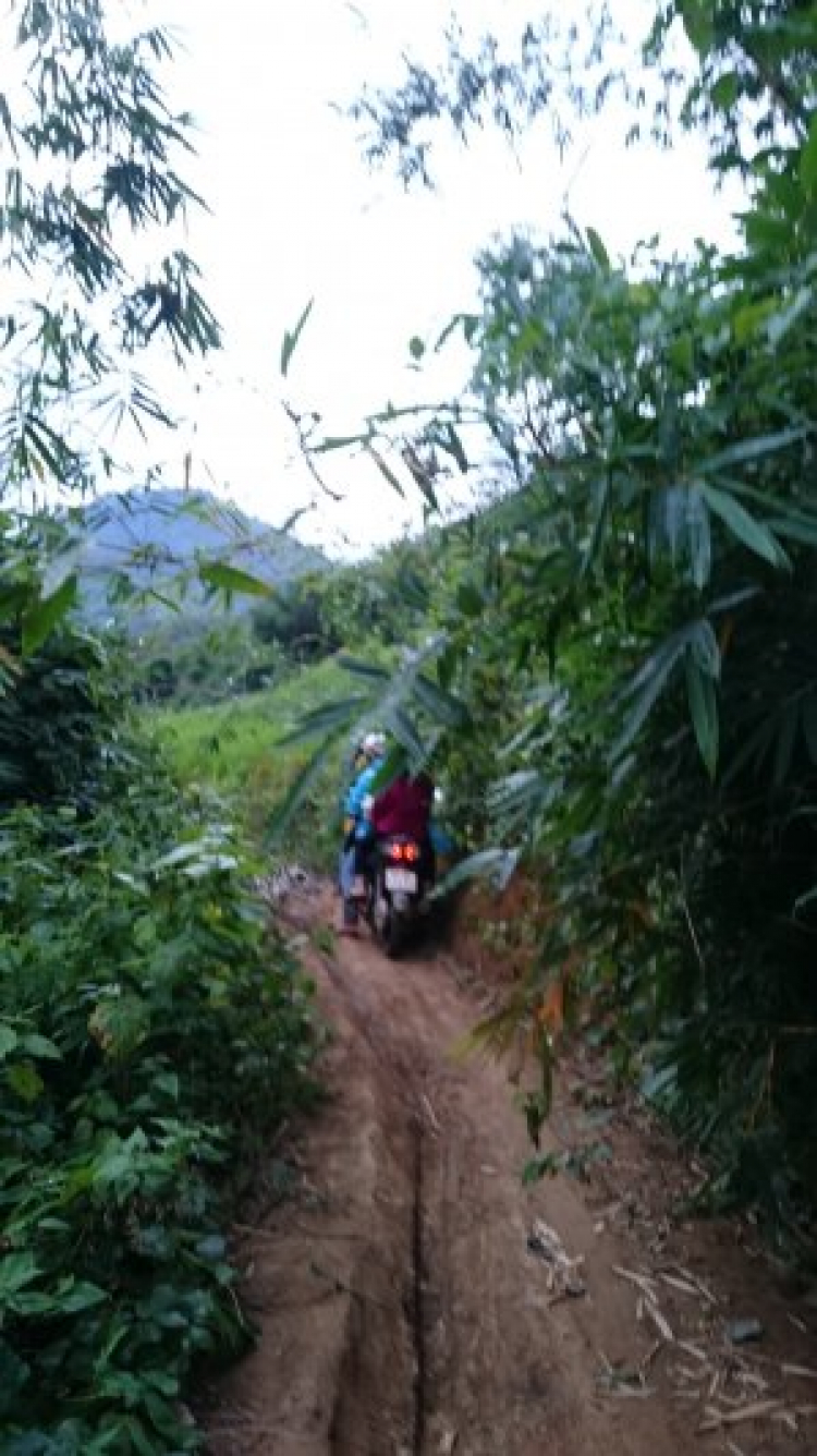 Đường 14. Đường 14.