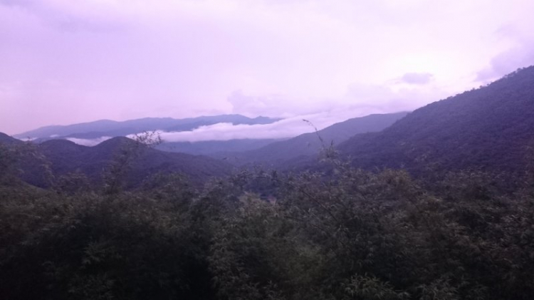 Đường 14. Đường 14.