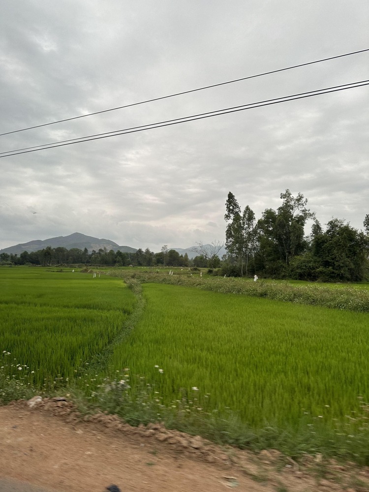 Du Xuân 2024 (Măng Đen - Bình Định) Du Xuân 2024 (Măng Đen - Bình Định)