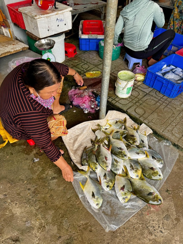 Hành trình về Quê ăn Tết 2024 (Biên Hòa - Đảo Lý Sơn) Hành trình về Quê ăn Tết 2024 (Biên Hòa - Đảo Lý Sơn)
