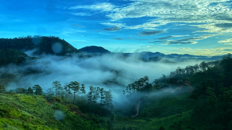 [Thread tổng hợp] Đường đi, du lịch, ăn uống Đà Lạt