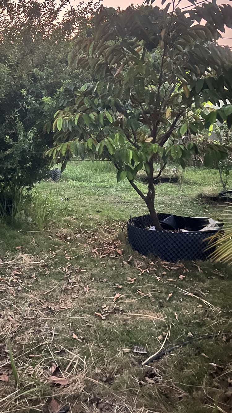 Đất Bình Lợi - Đặng Thùy Trâm Q Bình Thạnh sau khi mở đường liệu có sốt trở lại. Đất Bình Lợi - Đặng Thùy Trâm Q Bình Thạnh sau khi mở đường liệu có sốt trở lại.