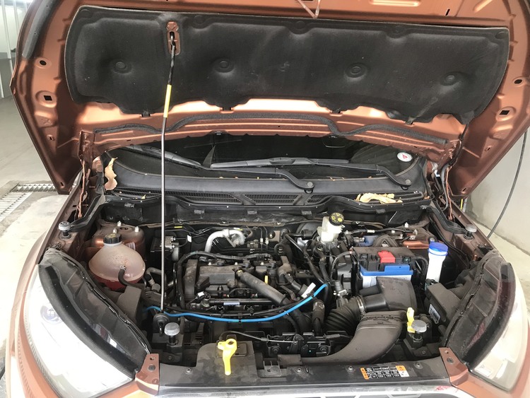 HẢI PHONG AUTO VỆ SINH KHOANG MÁY FORD RANGER HẢI PHONG AUTO VỆ SINH KHOANG MÁY FORD RANGER