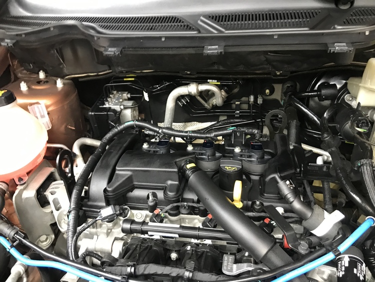 HẢI PHONG AUTO VỆ SINH KHOANG MÁY FORD RANGER HẢI PHONG AUTO VỆ SINH KHOANG MÁY FORD RANGER