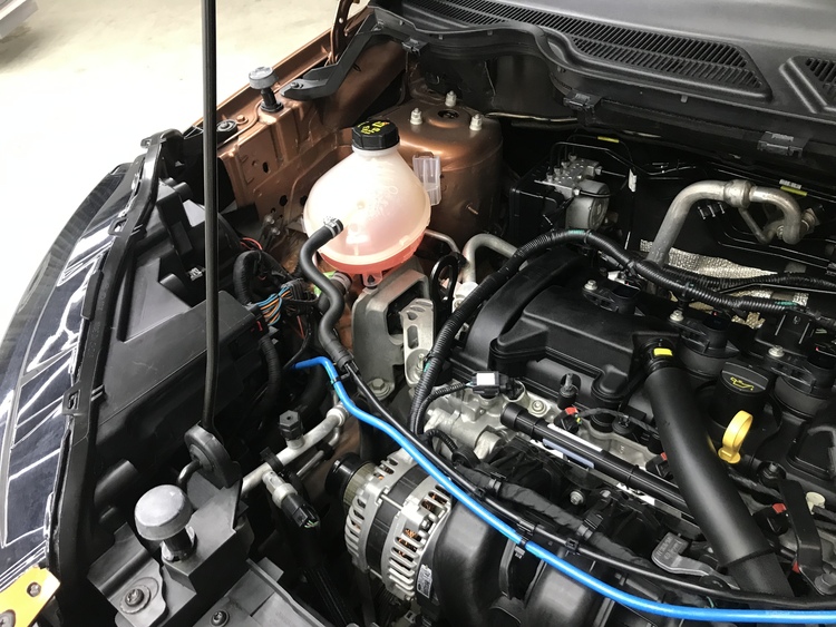 HẢI PHONG AUTO VỆ SINH KHOANG MÁY FORD RANGER HẢI PHONG AUTO VỆ SINH KHOANG MÁY FORD RANGER