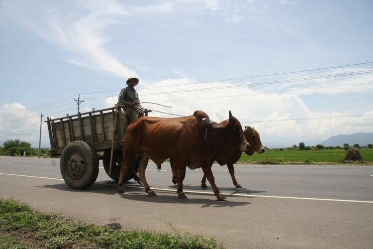 Anh em Camry 87-91 vô đây chơi