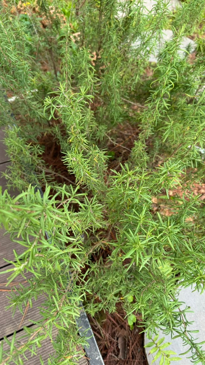 Cắm trại hồ Tuyền Lâm - Một điểm đẹp phù hợp với nhiều người mới Cắm trại hồ Tuyền Lâm - Một điểm đẹp phù hợp với nhiều người mới