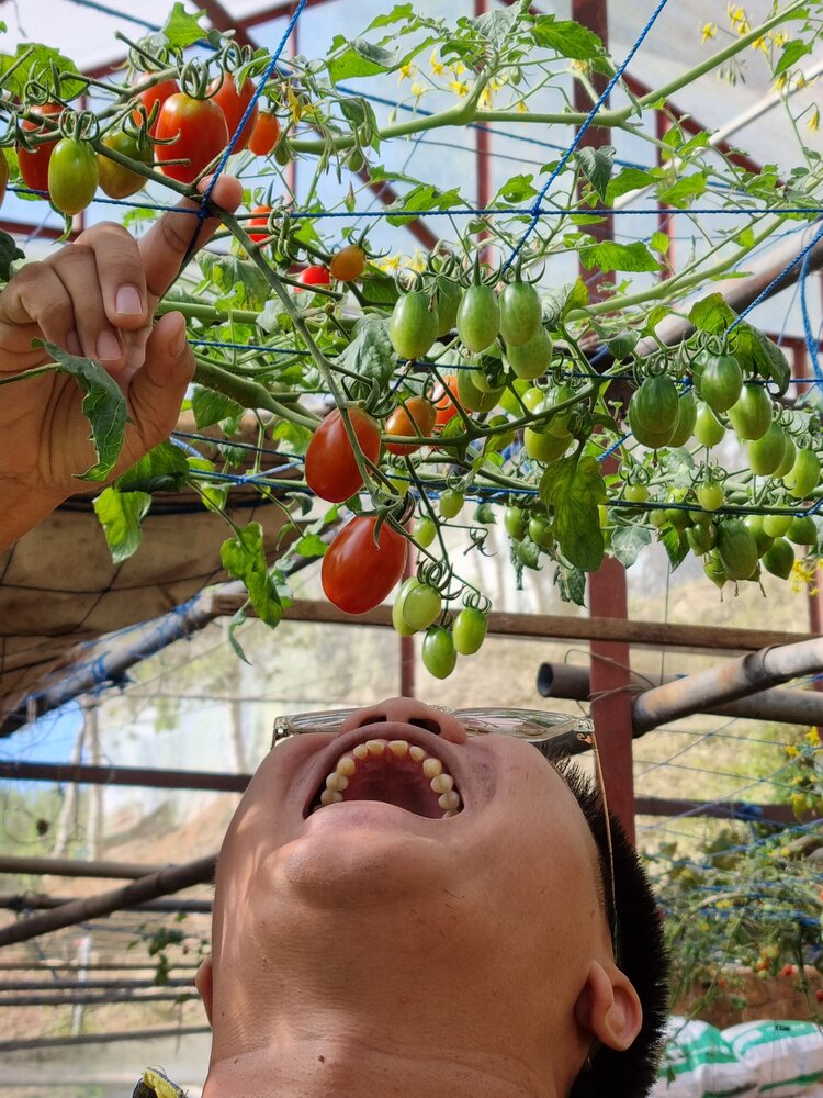 Trở lại Đà Lạt sau 2 năm Trở lại Đà Lạt sau 2 năm