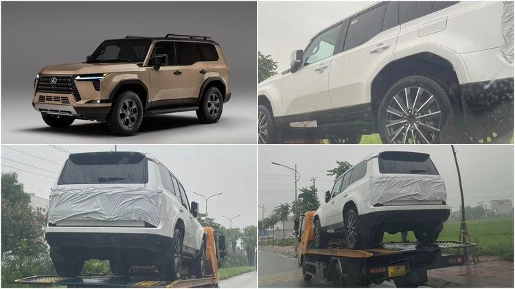 3151352-5aa3451a3201969da5154d1b2fbd7f25.jpg 3151352-5aa3451a3201969da5154d1b2fbd7f25.jpg