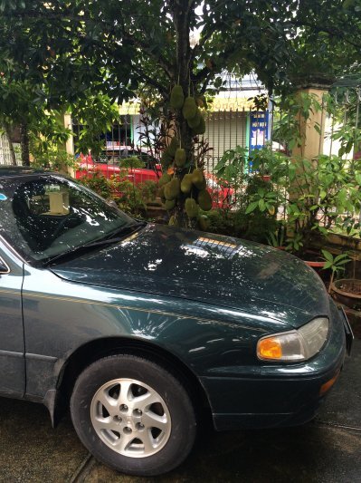 Anh em Camry 87-91 vô đây chơi