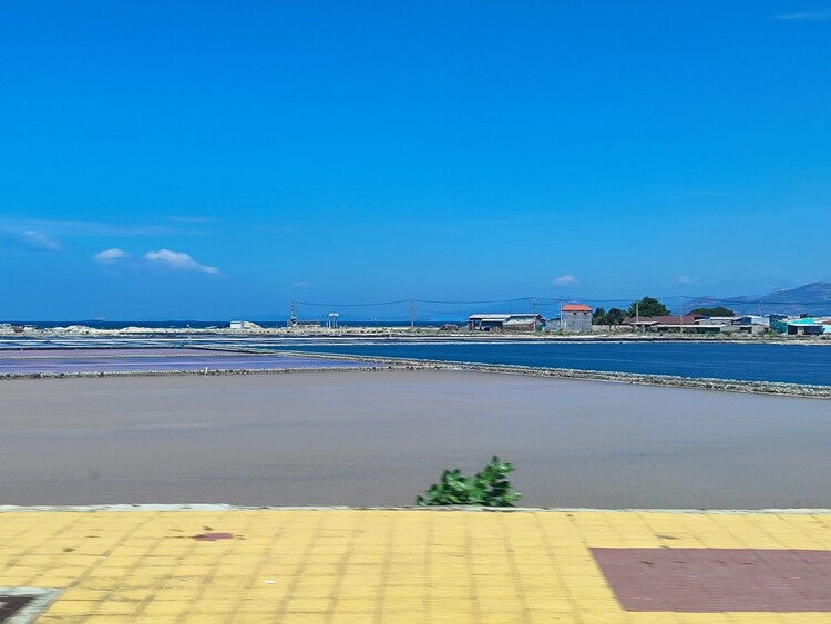 Cung đường chữa lành, Phan Rang - Đà Lạt hè 2024