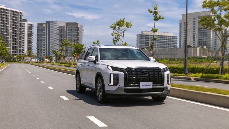 Hyundai Palisade - Sale rp 8-2024.jpg