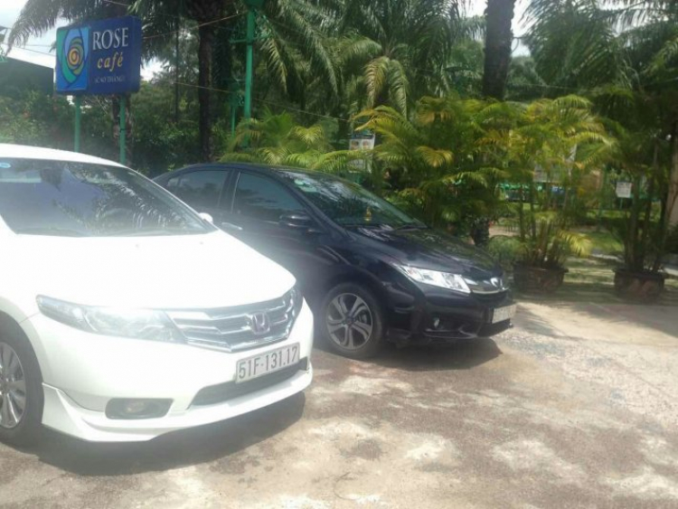 HONDA CITY CLUB