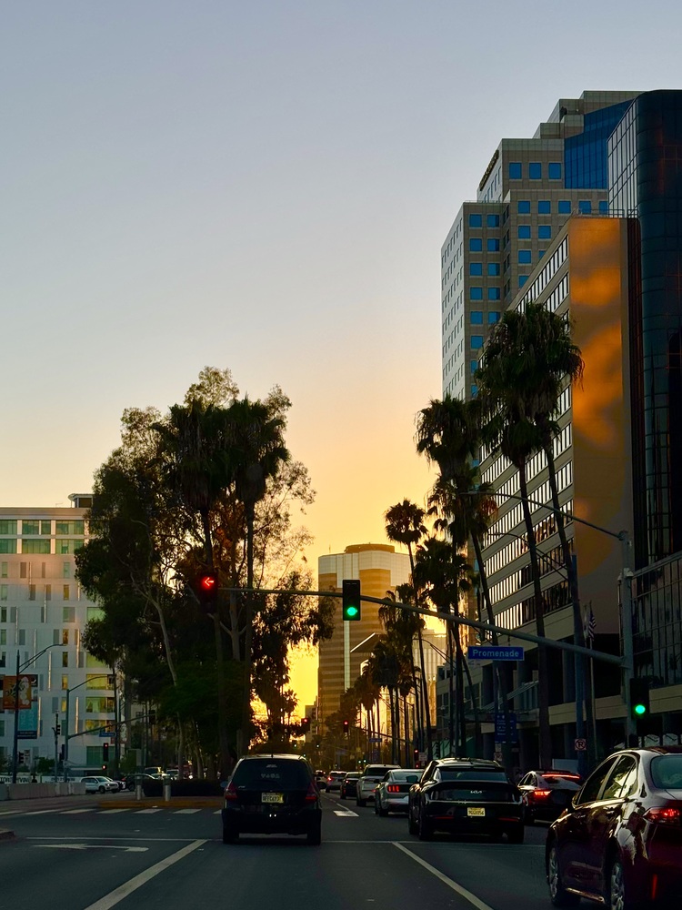 Chiều về trên phố Long Beach