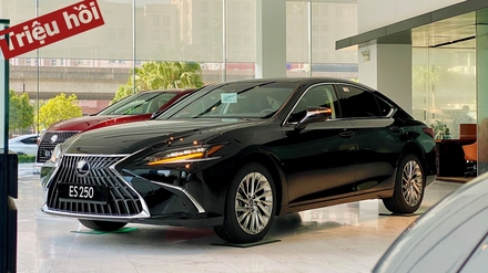 lexus-es250-2022.jpg