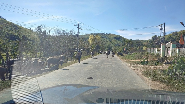 Xin kinh nghiệm cho Hành trình Đà Nẵng - Đà Lạt - BMT - Đà Nẵng Xin kinh nghiệm cho Hành trình Đà Nẵng - Đà Lạt - BMT - Đà Nẵng