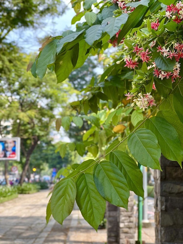 Ngày về