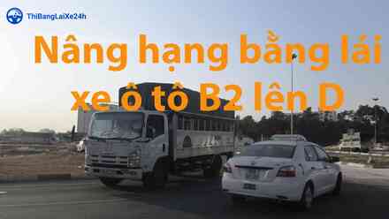 loai-bang-lai-nang-hang-len-bang-d.jpg