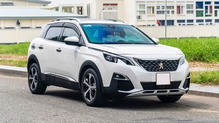 Tư vấn giùm em thay lap P, rotuyn..xe Peugeot 3008 giá vậy có ổn áp không ạ?