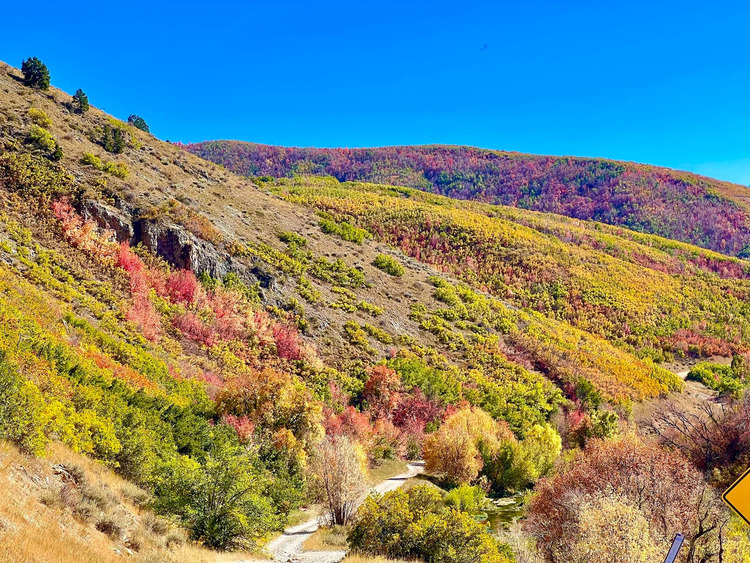 Midway - Utah