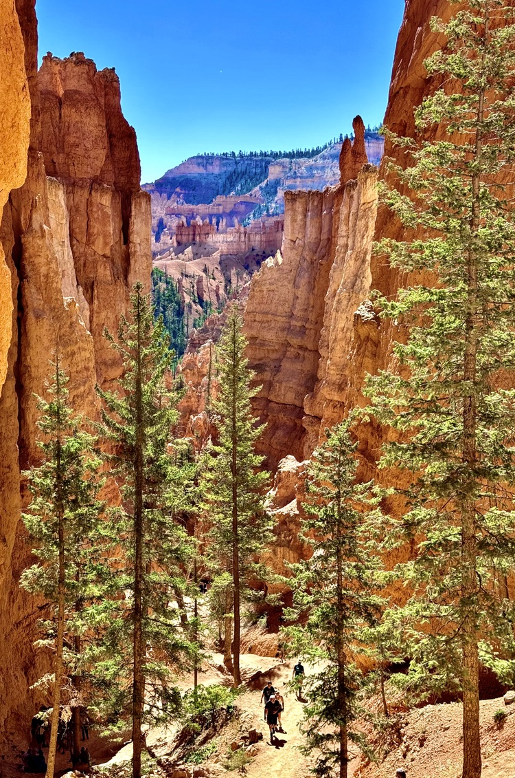 Bryce Canyon - Utah